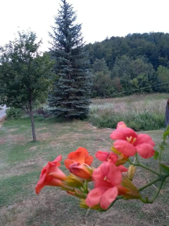 Apartman Sveti Rok Luaran gambar