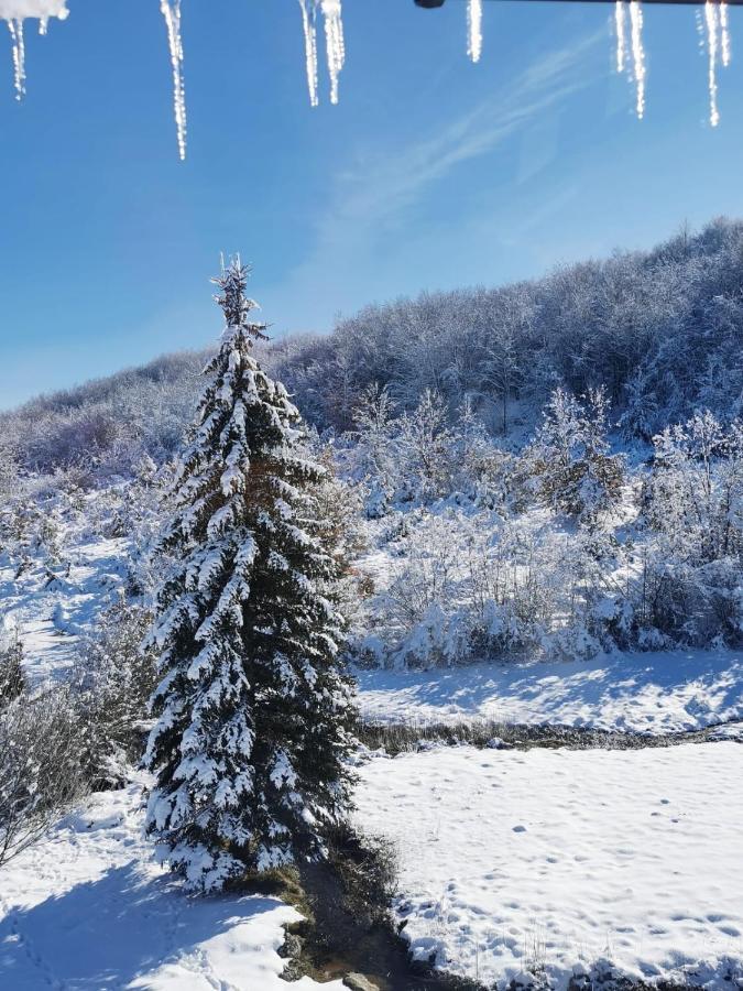 Apartman Sveti Rok Luaran gambar