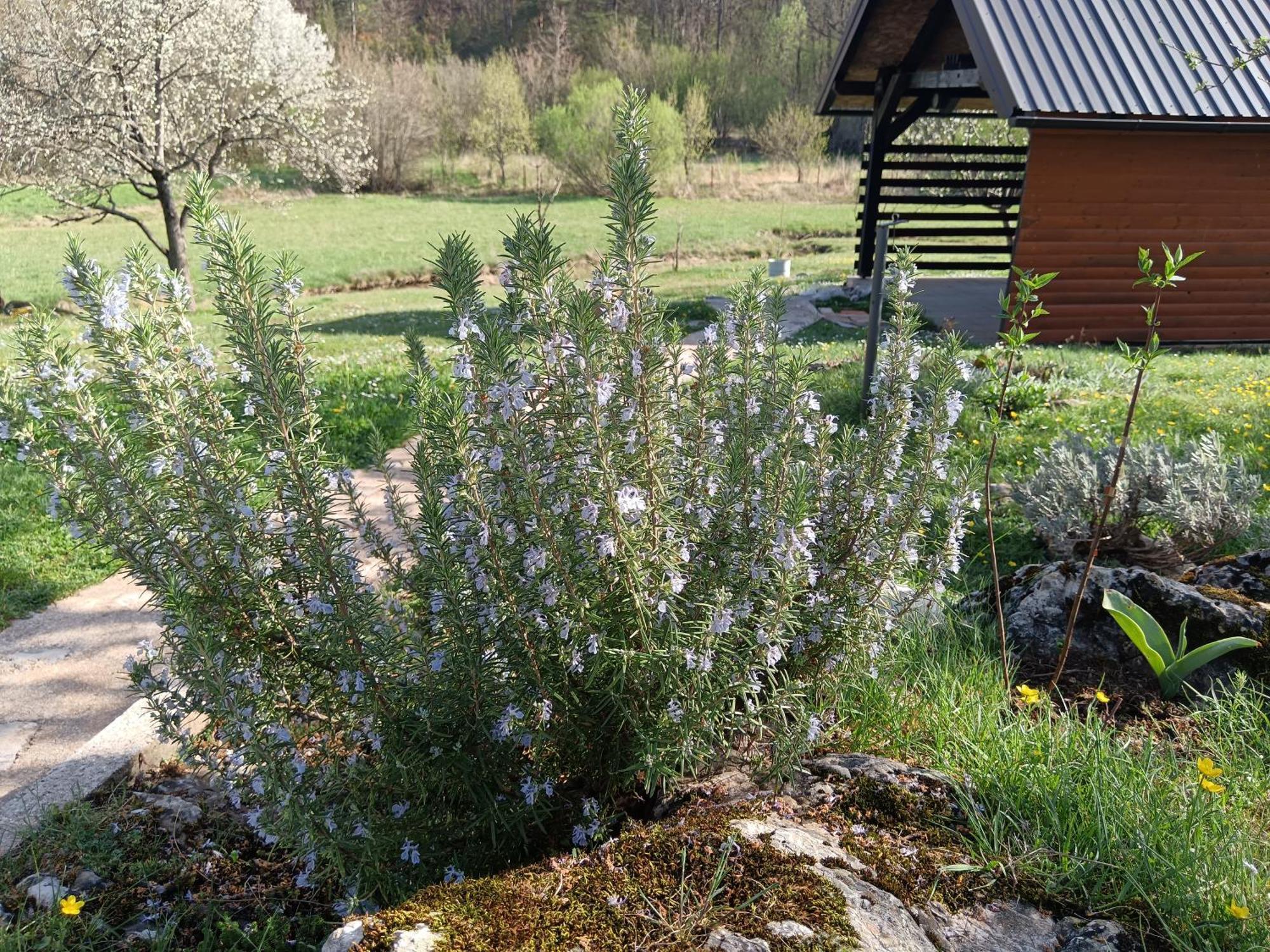 Apartman Sveti Rok Luaran gambar